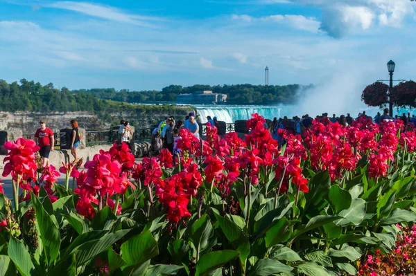 Niagara Şelalesi Kanada Ağustos 2021 Niagara Şelalesi Yazın Ontario Kanada Telifsiz Stok Fotoğraflar