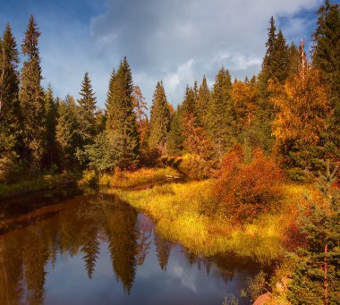 Karelya sonbaharda. Orman nehir. Sakin nehir yansıması. Bataklık