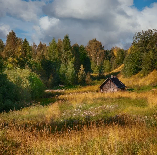Ormanda yalnız kulübe. Orman Glade. Yaz sonunda. Karelya. Rusya