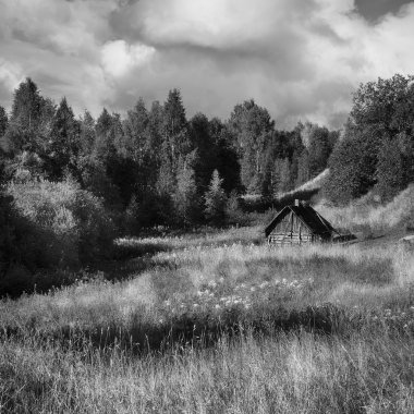 Ormanda yalnız kulübe. Orman Glade. Yaz sonunda. Karelya. Rusya.