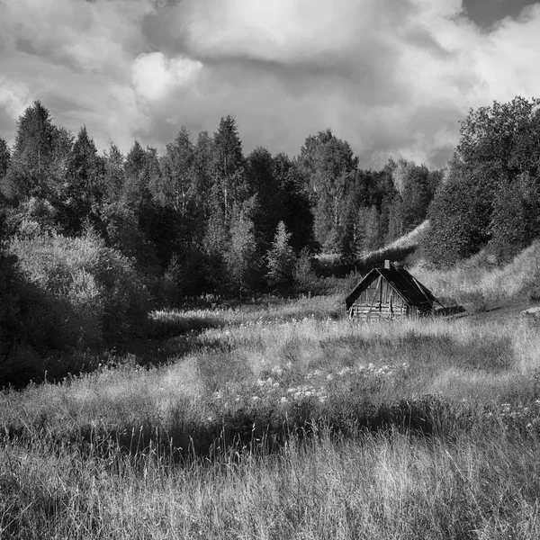 Ormanda yalnız kulübe. Orman Glade. Yaz sonunda. Karelya. Rusya.