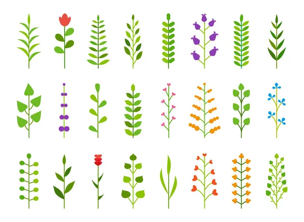 Rama de hierbas decoraciones decorativas florales de color conjunto plano — Archivo Imágenes Vectoriales