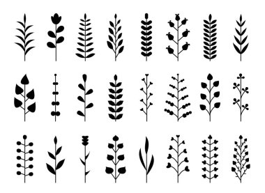 Bitkisel çiçek dekoru siyah çizgi seti