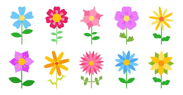 Flores planas de colores para postales en el tallo — Archivo Imágenes Vectoriales