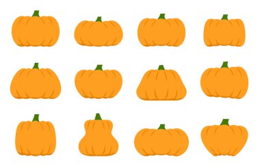 Pumpkins orange with green tails flat vector style