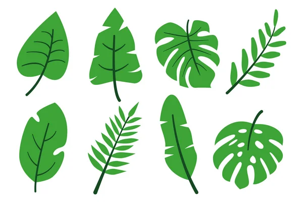 Тропические джунгли оставляет абстрактный зеленый плоский набор — стоковый вектор