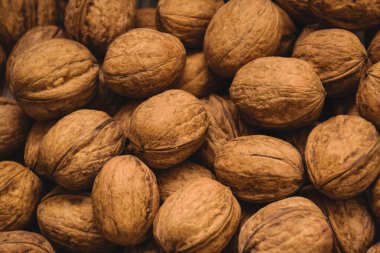 Çam ağacının boyanmış yüzeylerine saçılmış bir sürü ceviz.