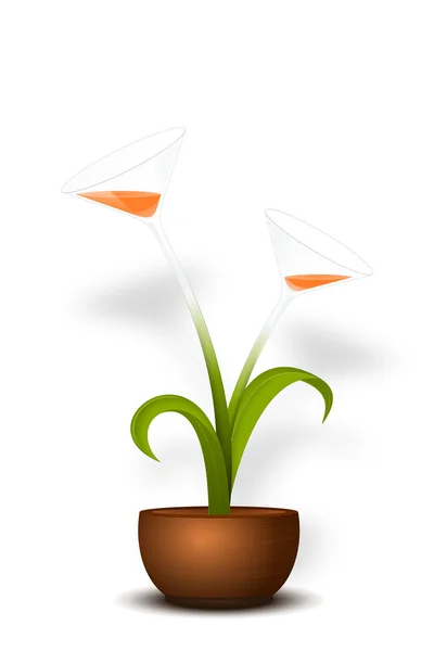 Kokteyl Lily Calla beyaz izole