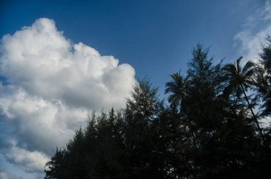 Gündüz açık bulutlu gökyüzünün arka planındaki orman siluetleri turizm tanıtımı, doğal güzellik ve arka plan düzenlemesi için kullanılabilir.