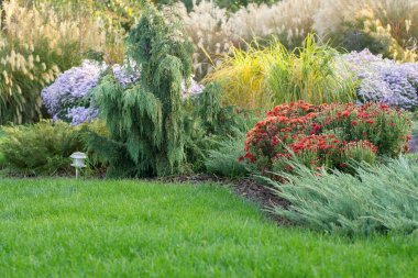 Bahçedeki yemyeşil çiçeklerin güzel manzarası