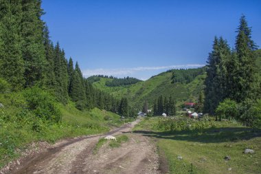 Dağ yolu olan güzel bir manzara