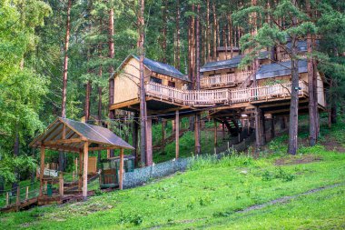 Ormanda ahşap evi olan güzel bir manzara.