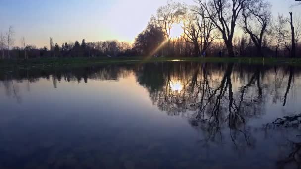 Close Pond Reflection Trees Botanical Garden Sunset — Stock Video
