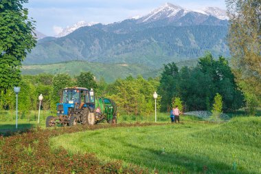 Almaty, Kazakistan - 05.19.2021: Çimleri hortumla sulayan bir adam. Gerçek işçi..