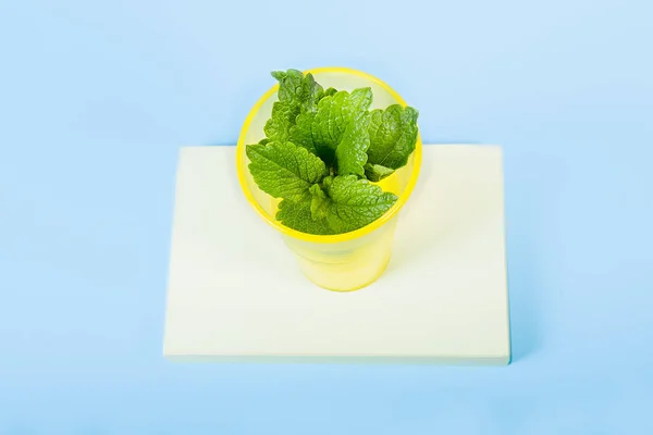 Mint leaves , mint sprig in yellow plastic glass, trending concept, yellow stand on blue background