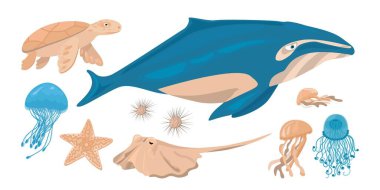 Deniz hayvanlarının düz vektör çizimleri beyazın üzerinde izole edilir. Balina, vatoz, kaplumbağa, denizyıldızı, deniz kestanesi, denizanası.
