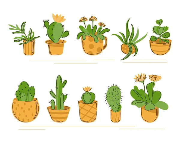 Set Indoor Flowers Pots Stylized Shelf Cacti Succulents Other Plants — Stock Vector