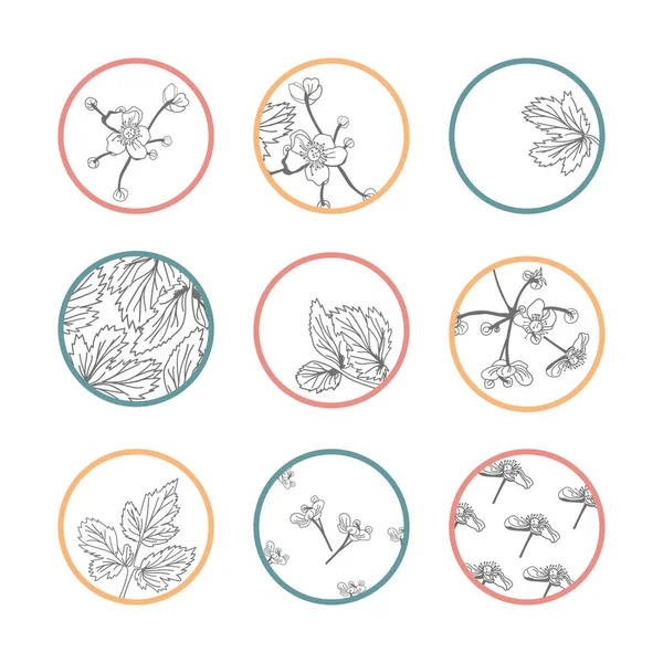 花のベクトルアイコンセット 花と葉のロゴのイラストがミニマルなスタイルで — ストックベクタ