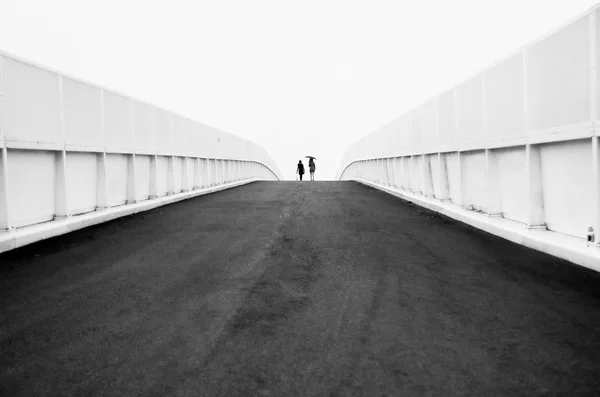 Back silhouette of a couple walking holding hands on a bridge