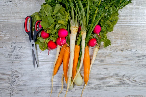 Verduras jóvenes de primavera sobre fondo de madera. Las zanahorias, el rábano, el perejil - la cosecha fresca del jardín — Foto de Stock