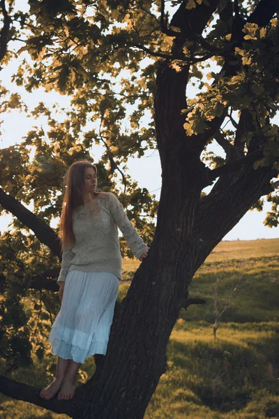 Girl trees — Stock Photo, Image