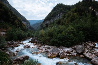 Açık nehir taşlarla yol açar