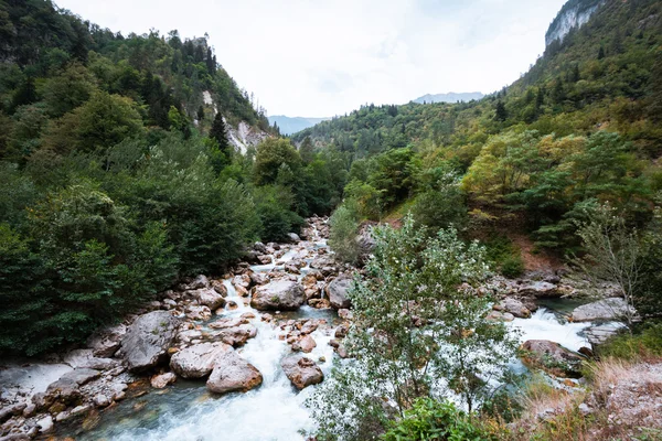 Açık nehir taşlarla yol açar