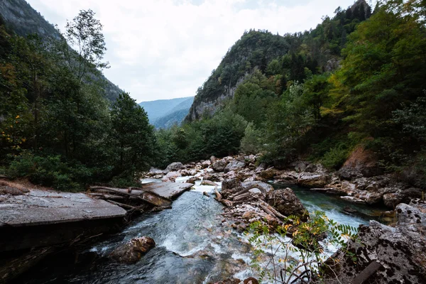 Klara flod med stenar leder — Stockfoto