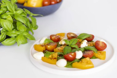 Renkli Caprese salatası büyük bir tabakta servis edilir, beyaz masa. Yüksek kalite fotoğraf