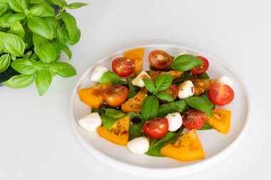 Domates, fesleğen, mozzarella Caprese salatası ve balzamik sirke. Yüksek kalite fotoğraf