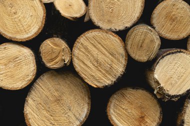 Ağaç kütükleri yığını. Ahşap ahşap doku arka planı. Yüksek kalite fotoğraf