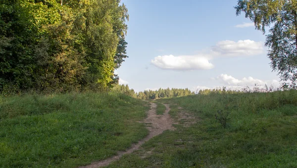 Naturaleza verde paisaje — Foto de Stock