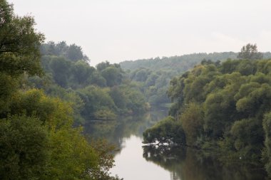 banka üzerinde büyüyen ağaçlar