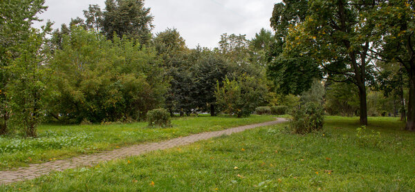 Park in the early autumn. green landscape