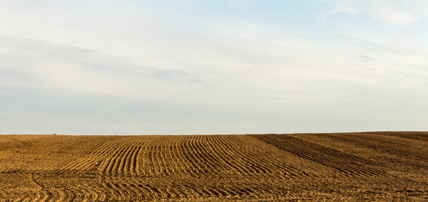 Plowed Field landscape