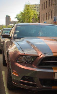 Spor arabaya versite