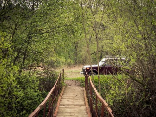 Puente peatonal sobre el bosque del río — Foto de Stock