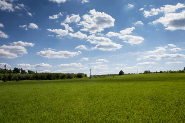 Vackert landskap — Stockfoto