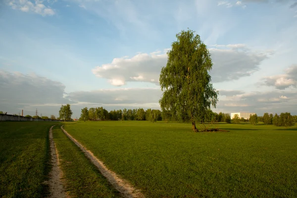 Landschap — Stockfoto