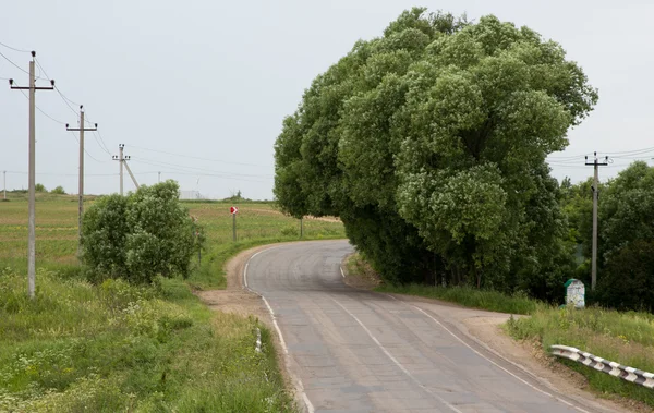 Gevaarlijke bocht naar rechts van de weg — Stockfoto