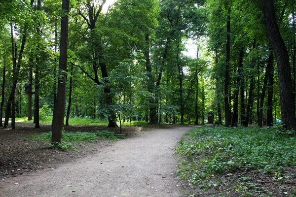 Paisaje en el parque — Foto de Stock