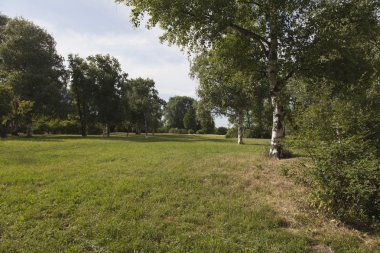 çayır ve ağaçlar