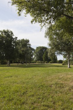 çayır ve ağaçlar