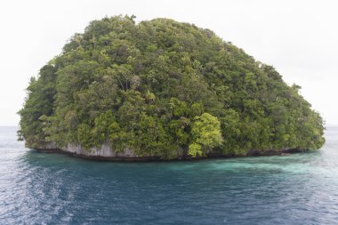 Mavi deniz ve yeşil küçük ada