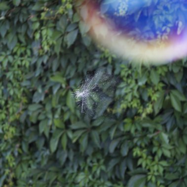 Gökkuşağı sabun köpüğü