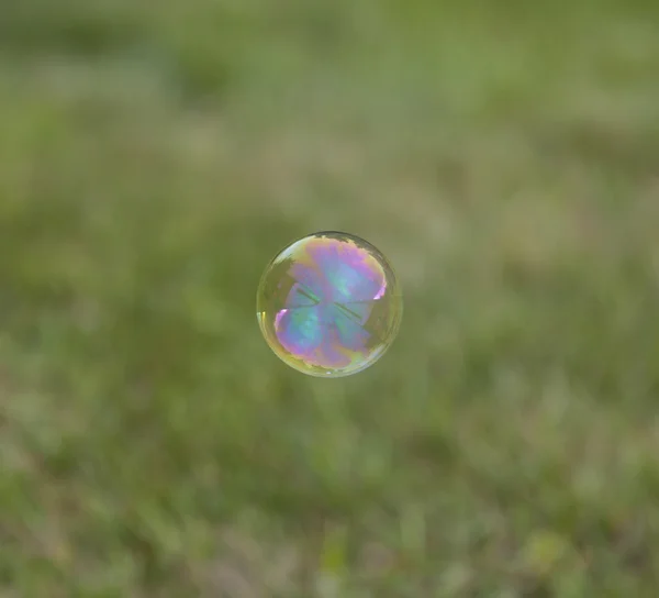 Regenbogen-Seifenblase — Stockfoto