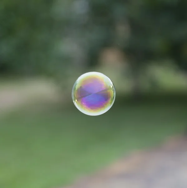 Burbuja de jabón arco iris —  Fotos de Stock