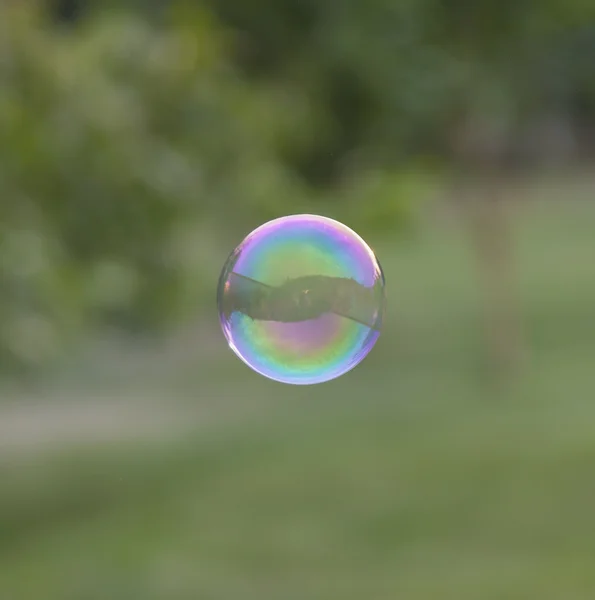 Regenbogen-Seifenblase — Stockfoto