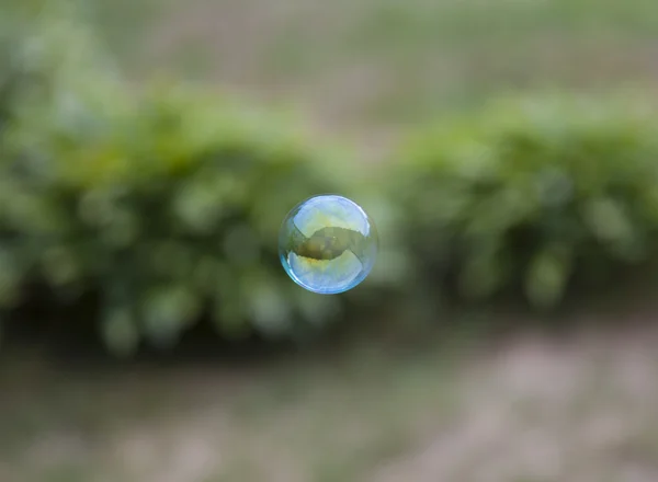 Regenbogen-Seifenblase — Stockfoto