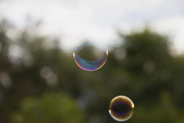 虹のシャボン玉 — ストック写真